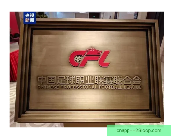 中国足球启动史上最严格职业联赛准入审核加强规范化管理提升联赛竞争力